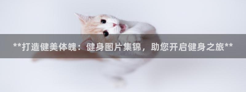 龙8国际手机登录|欢迎您的到来!