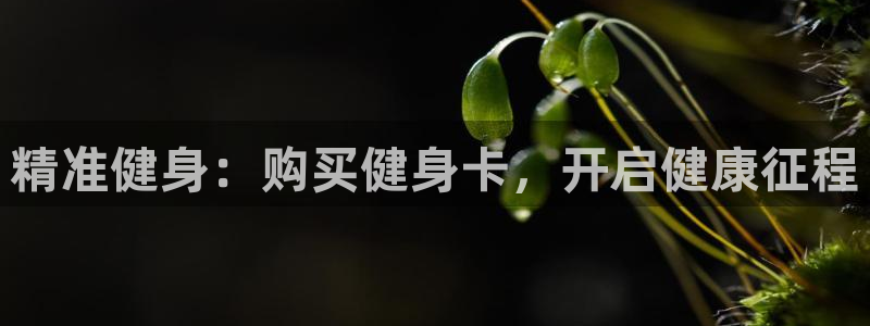 龙8国际是什么电影