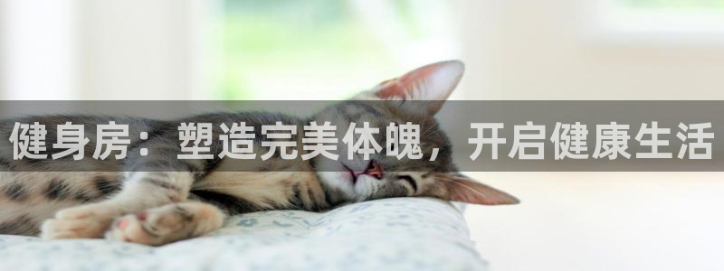 龙8国际唯一官网手游登录入口