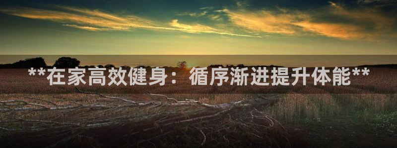 龙8国际手机版