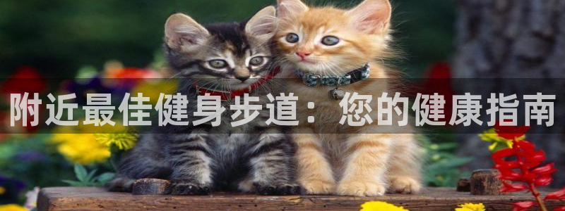 龙8国际官网唯一入口