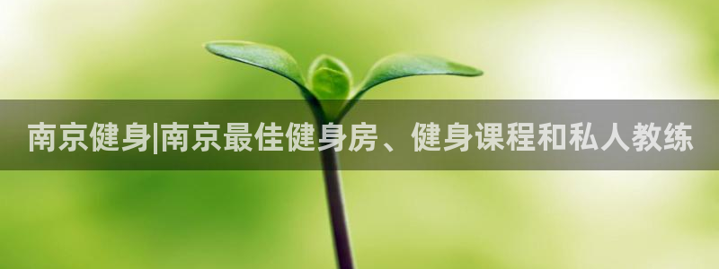龙八国际2018最新官网
