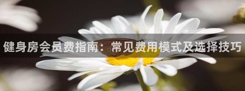 龙8国际手机游戏官网