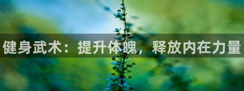 龙八国际唯一官网