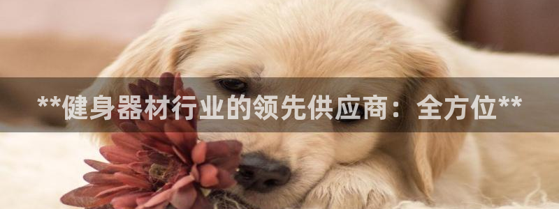 龙8国际唯一