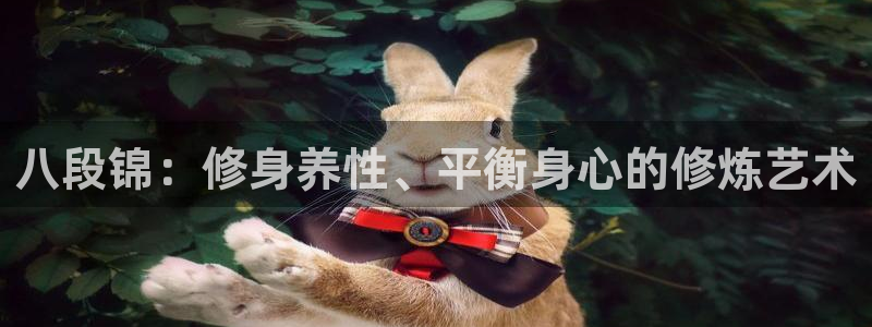 龙8国际long8