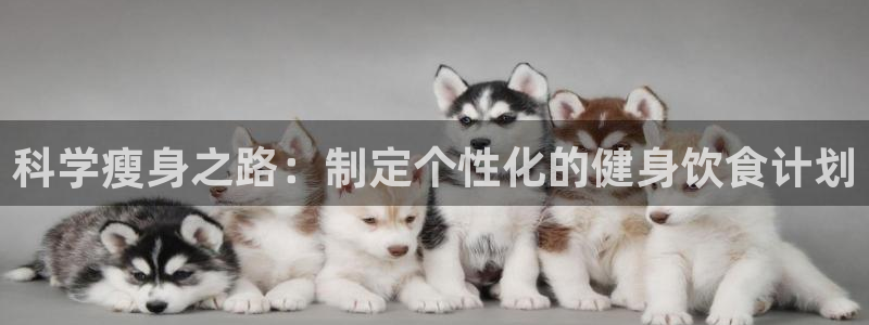 龙8国际.apk