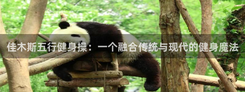 龙八棋牌