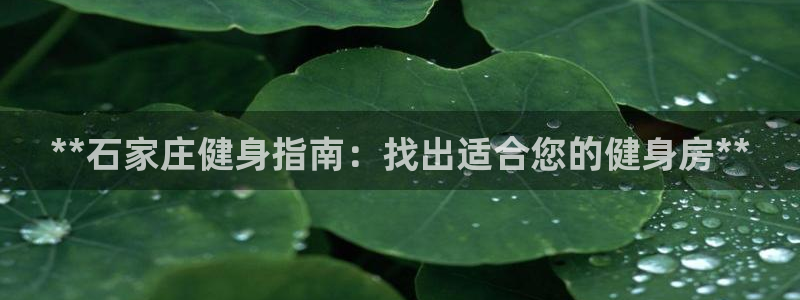 龙8国际游戏官网