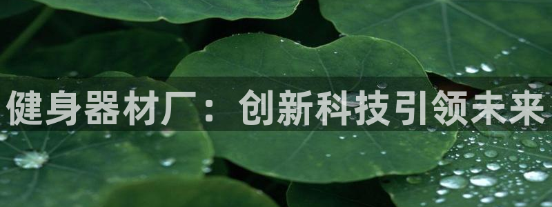 下载龙八国际官网