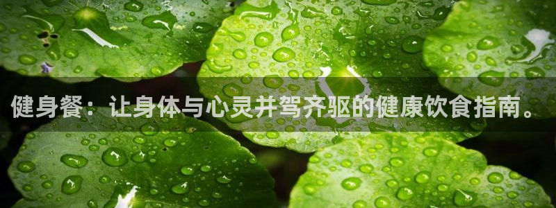 龙8国际手机版官网