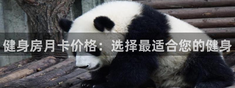 龙8游戏官方网站q