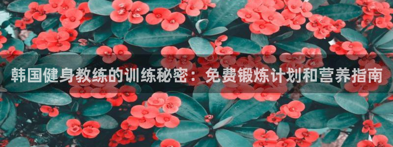 龙八国际娱乐在线游戏