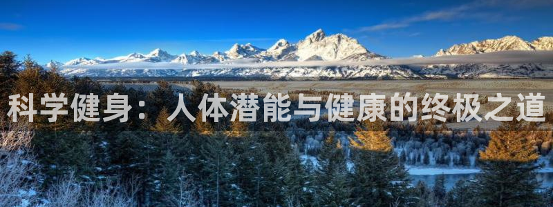 龙8国际官方网站手机版下载