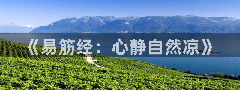 龙8国际唯一官网官方版
