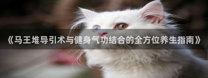 龙8-龙国际-long8-龙8游戏