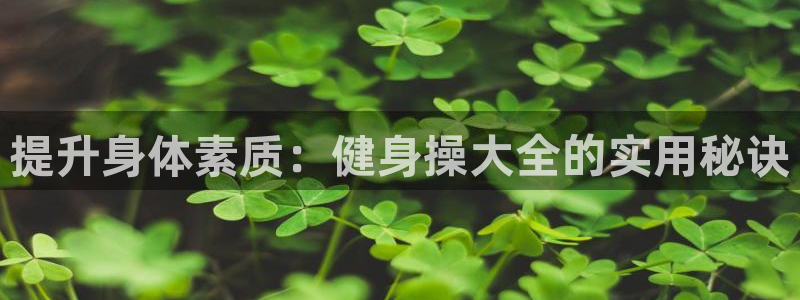 龙8国际网址