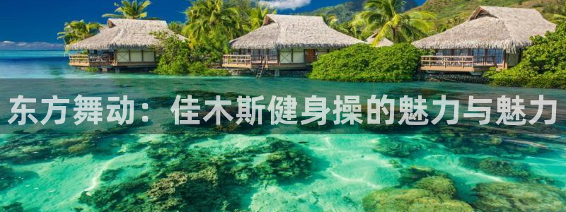 龙8国际登录地址