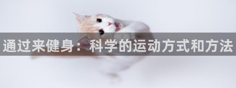 龙8官网手机登入口