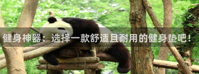 龙8国际怎么样