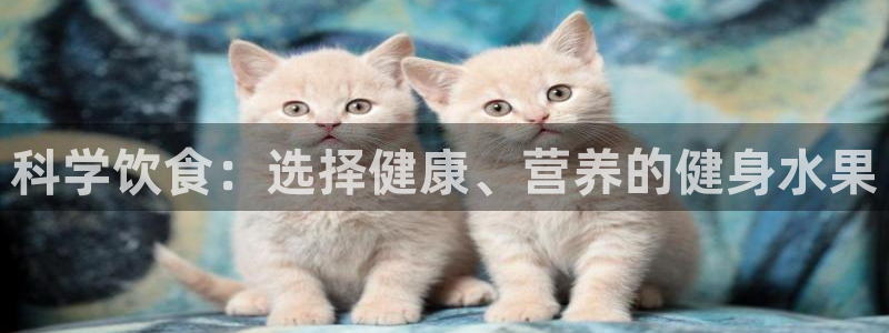龙8国际pt网址官方