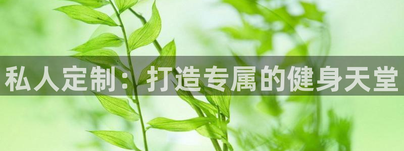 国际龙8官网pt客户端下载