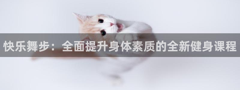 龙8国际是什么平台