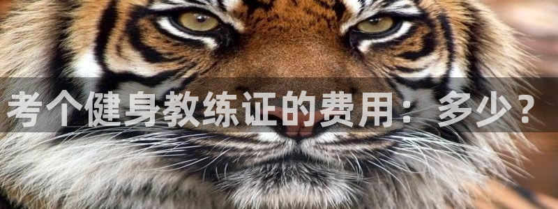 龙8国际手机官网下载安装