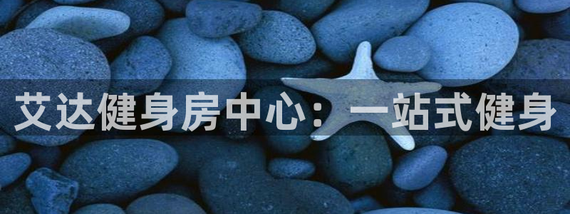 龙8国际真钱