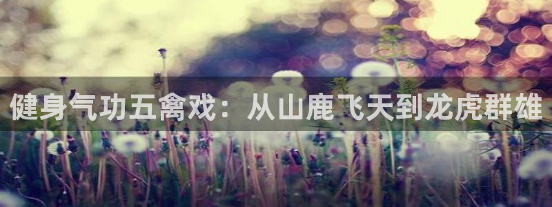 龙8国际客服