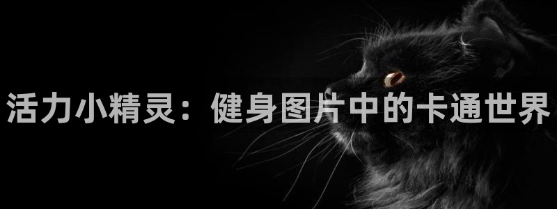 龙8国际官网手机客户端