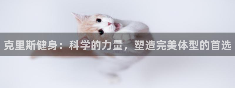 国际龙8官网pt客户端