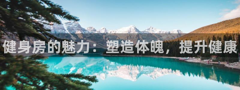 龙八国际官方网站app登录