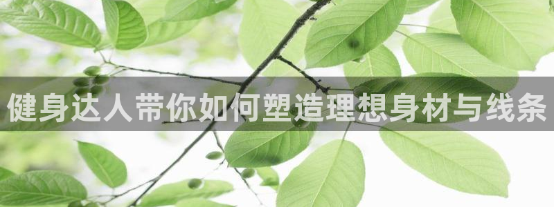 龙8游戏官方网站登录