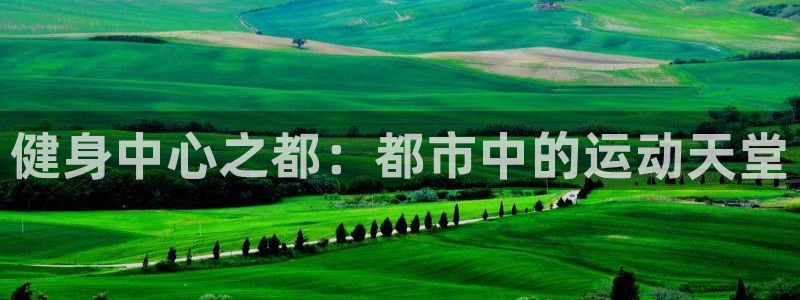 龙8国际手机登录官网