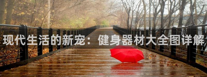 龙8国际平台登录