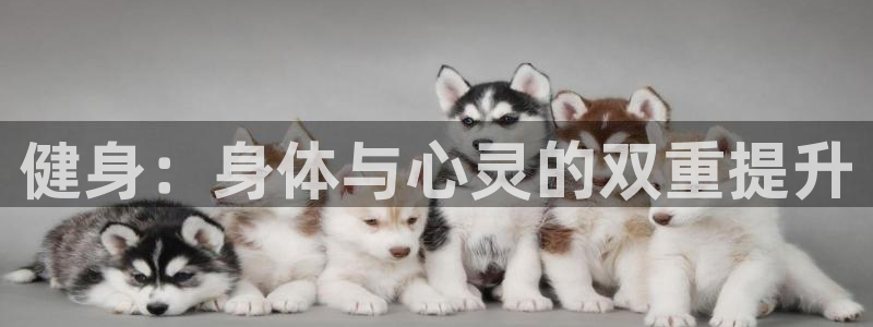 龙8国际官网正版