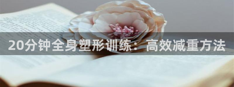 龙8国际官网注册