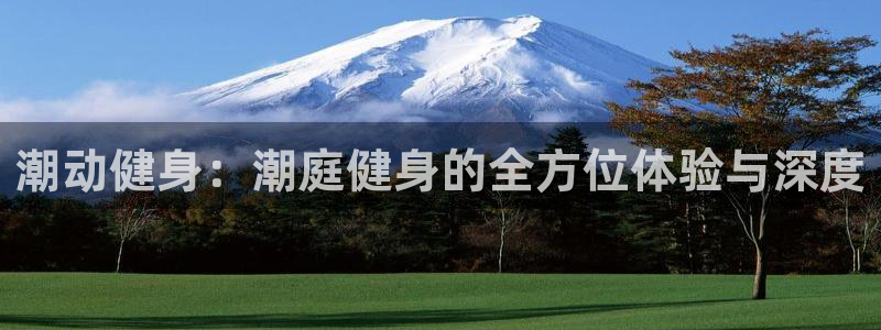 龙八国际手机在线登录