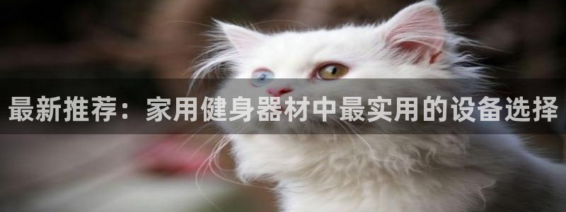 龙8国际官网 点此进入游戏