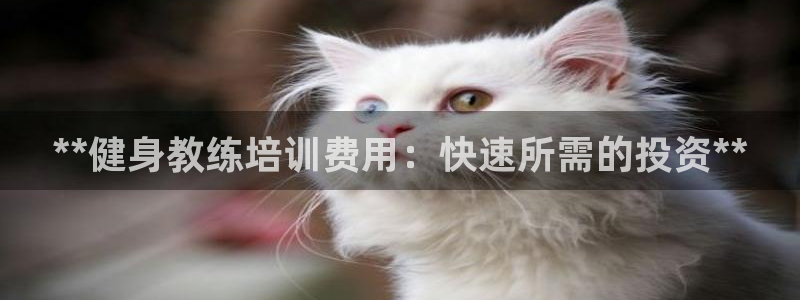 龙八国际手机客户端