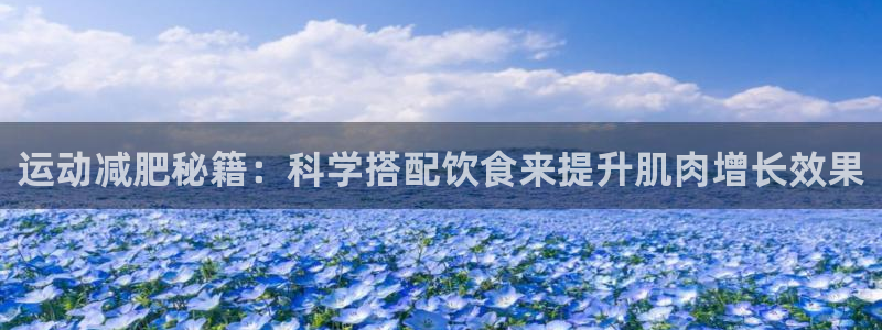 龙8国际网址是什么