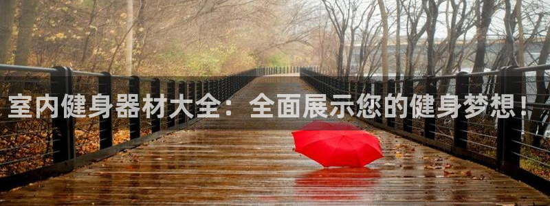 龙八国际登录密码