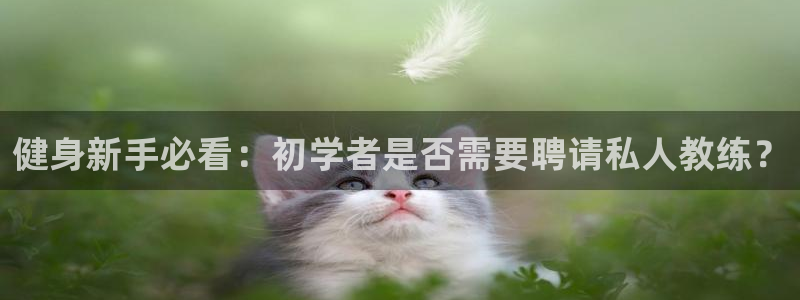 龙8国际long8官方版下载