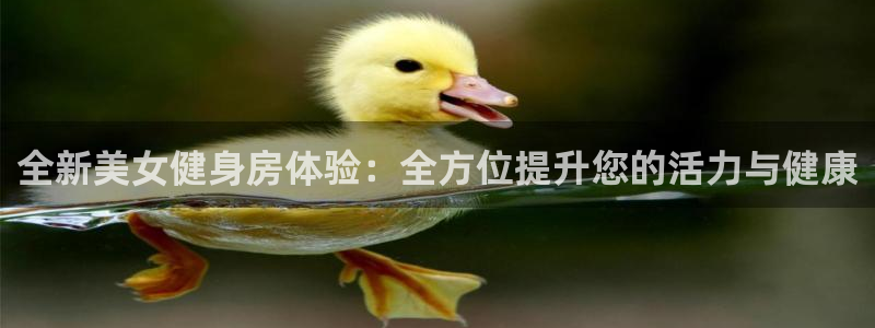 龙8国际网站怎么样