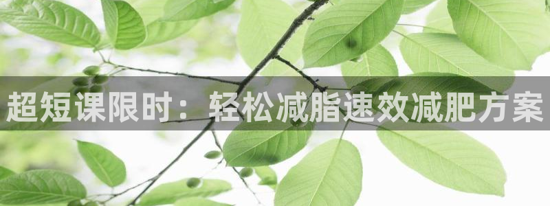 龙八国际官网下载