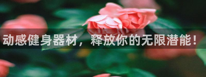 龙8国际官网进入