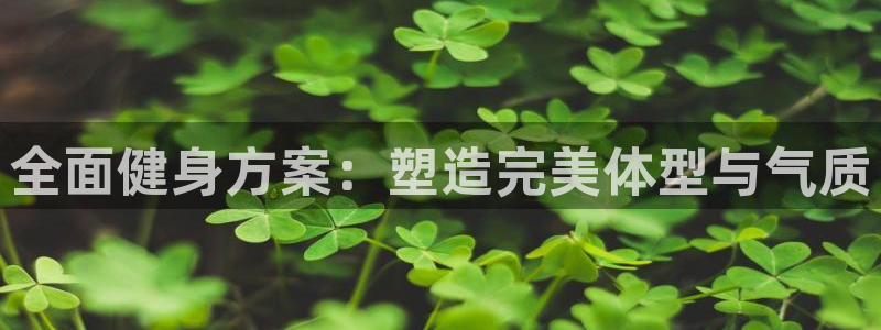 龙八国际网页登录
